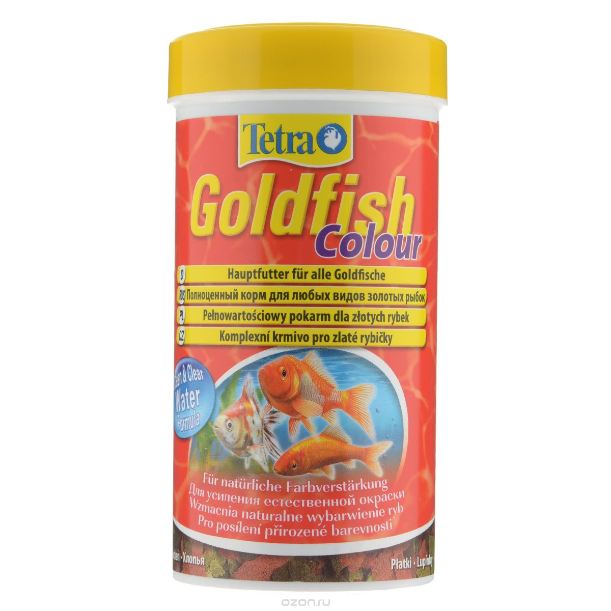  Tetra Goldfish 