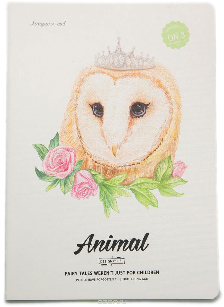 -  Animal Owl 3 44   